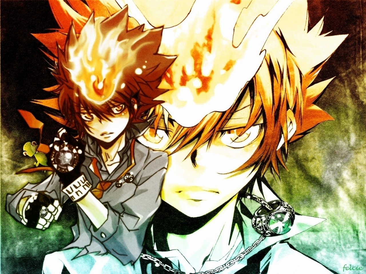 Dynamic artwork featuring characters from *Katekyō Hitman Reborn!*, showcasing intense expressions and fiery effects, highlighting the themes of power and transformation in the anime.