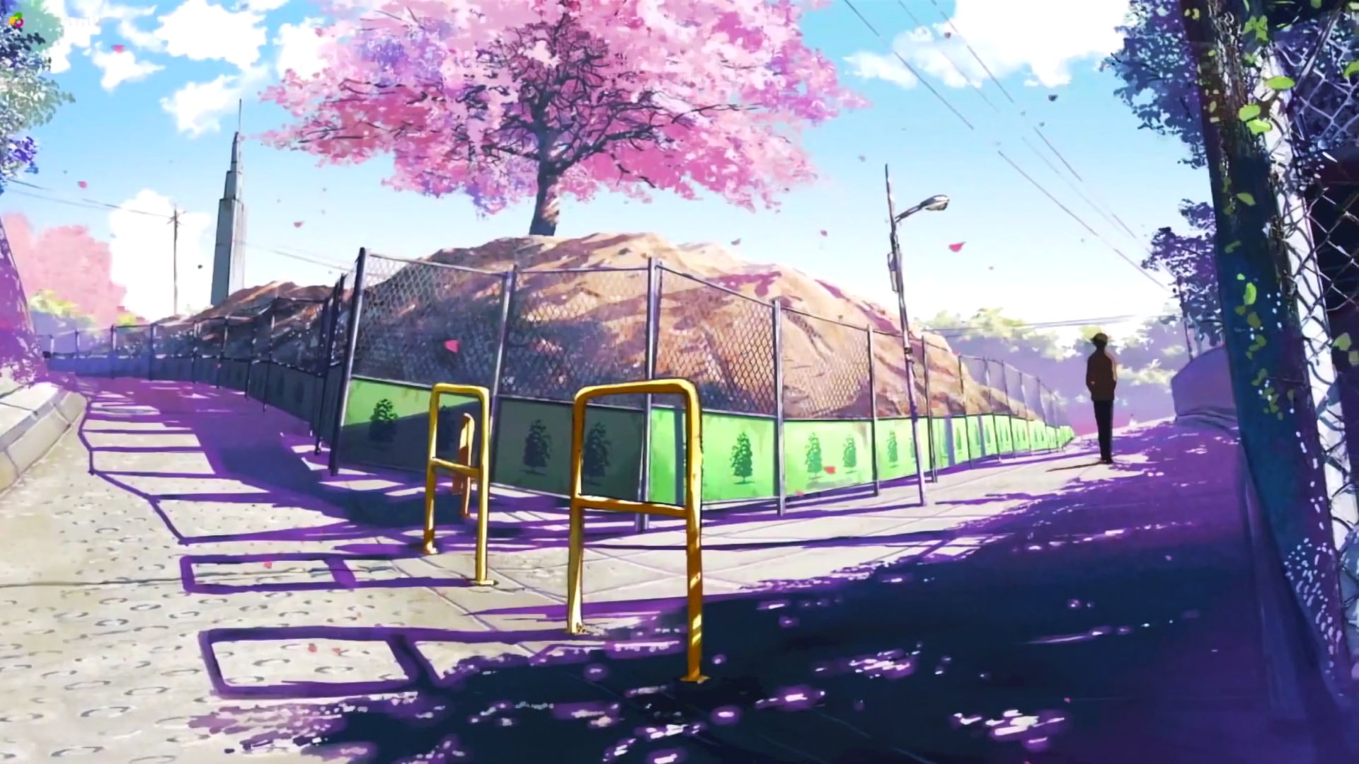  Man walking in street