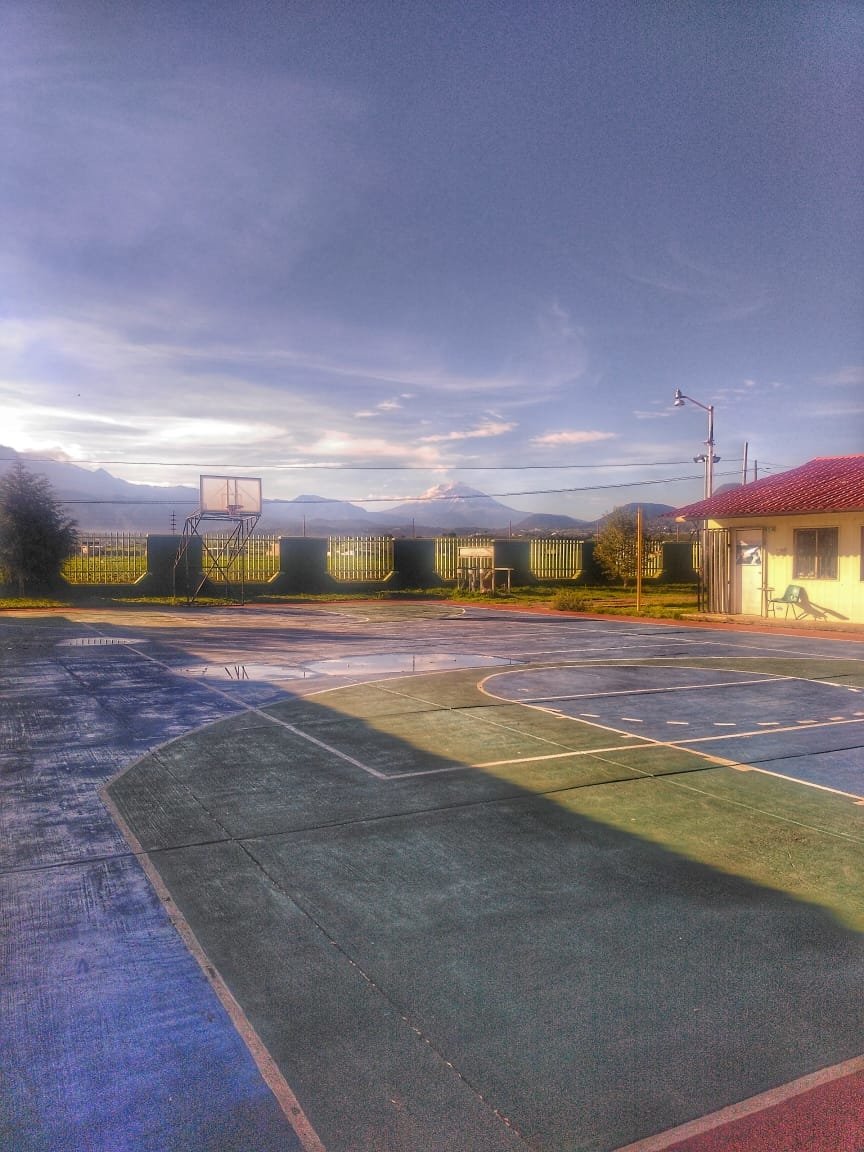 The Quintessential Quintuplets Op Roblox Id