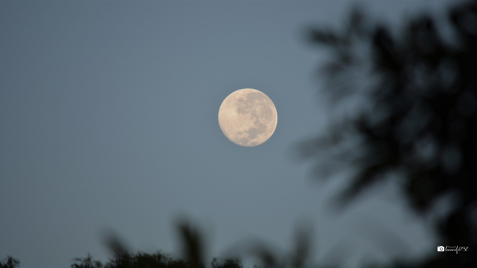 Full Moon by lonewolf6738