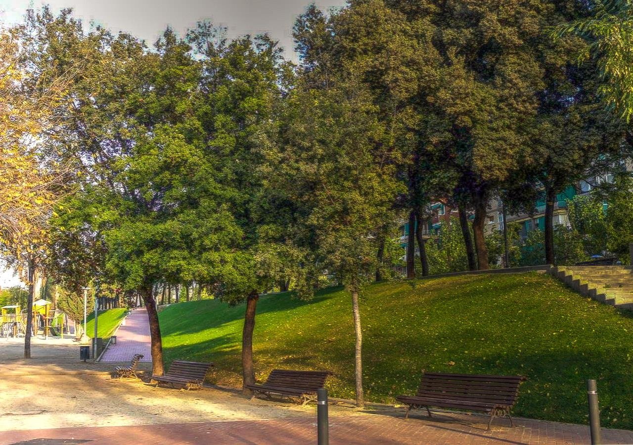 Photography capturing a serene park scene with lush green trees, grassy slopes, benches, and a paved walkway under soft daylight.