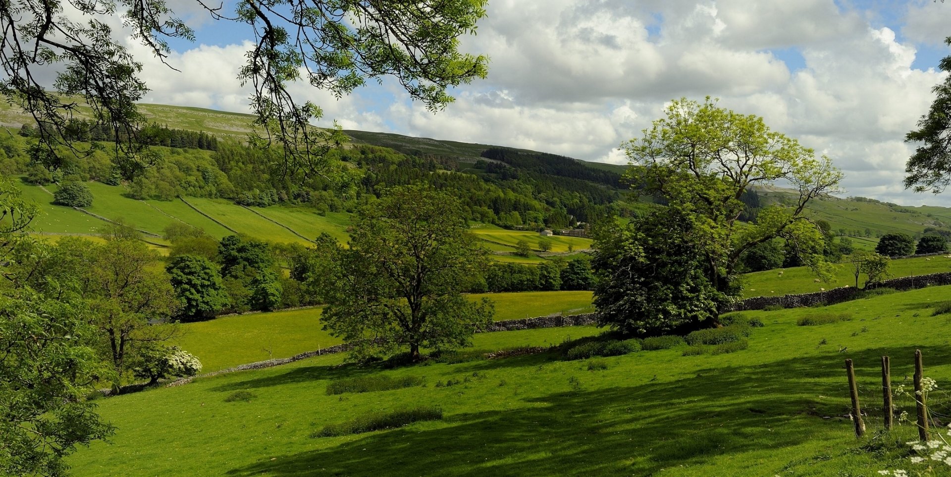 cloud pasture England field tree nature landscape Image