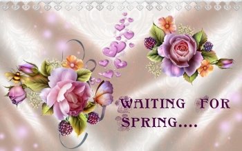 Preview Image 390882