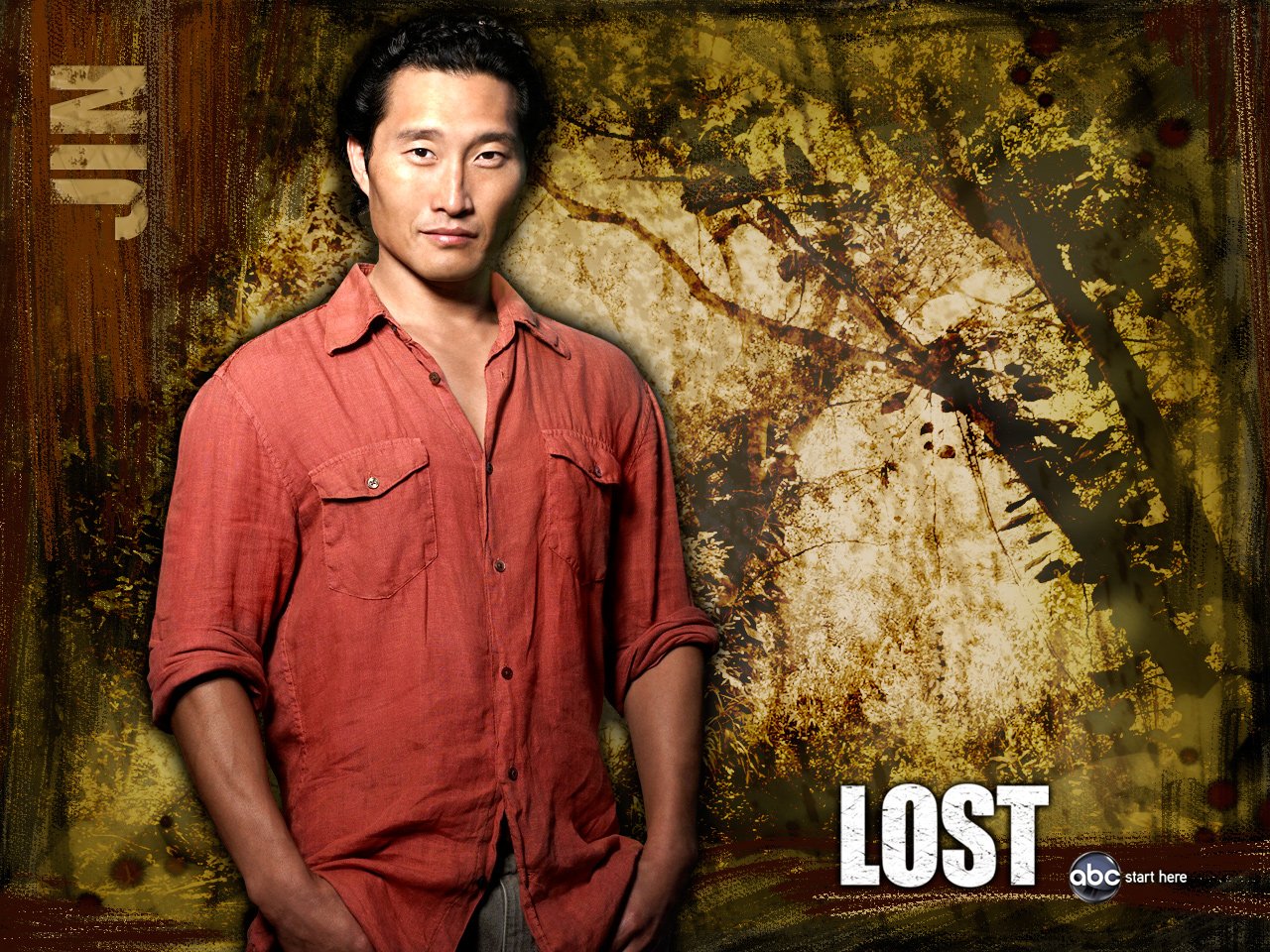 TV Show lost Image