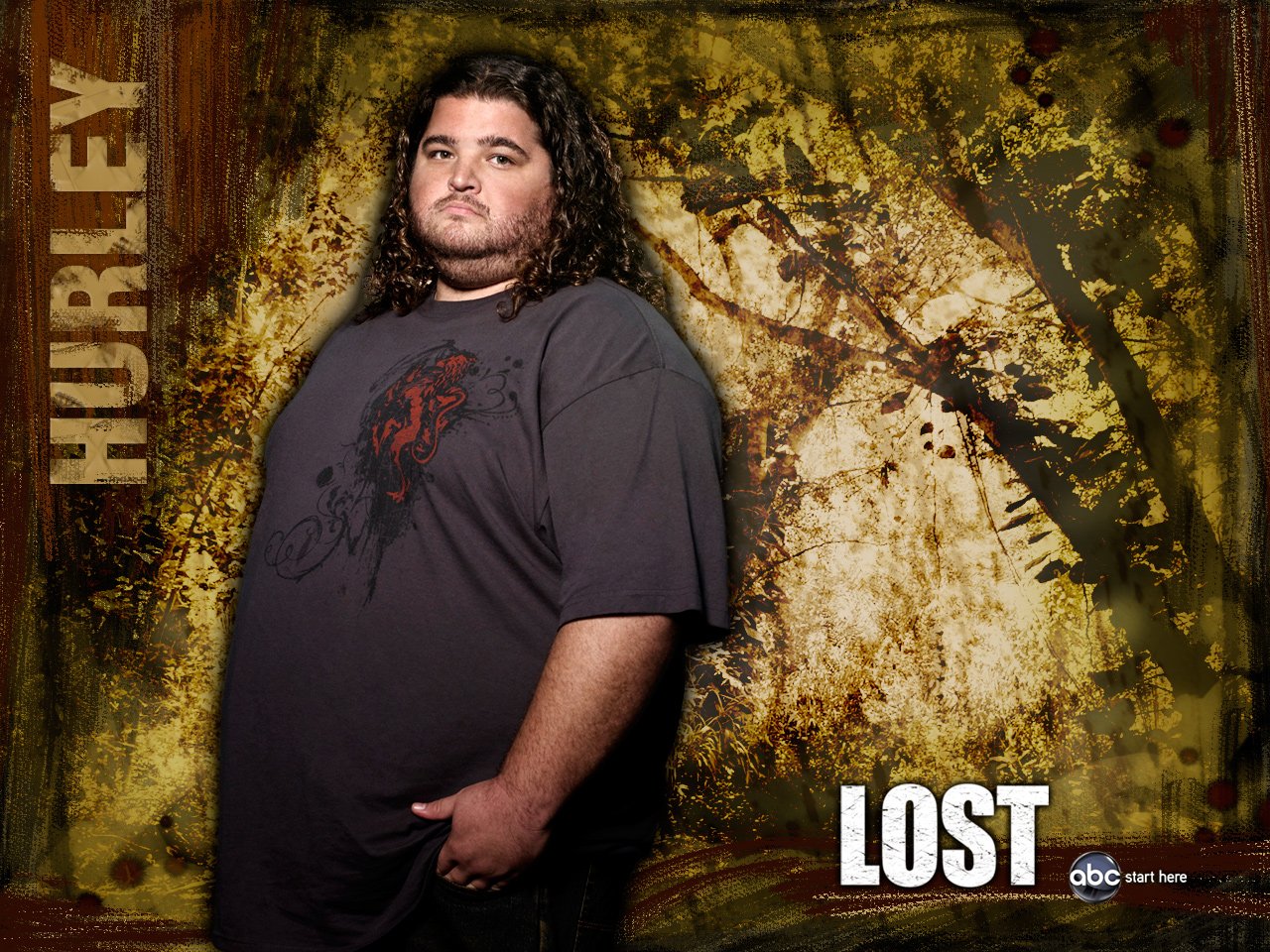 TV Show lost Image