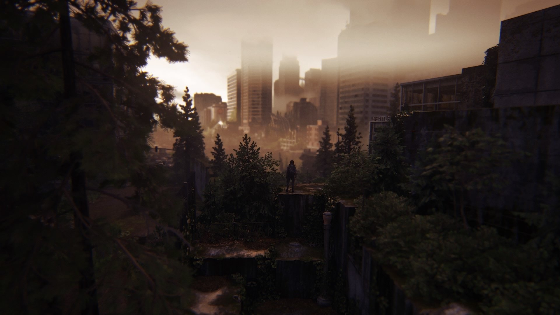 video game The Last of Us Part II Image