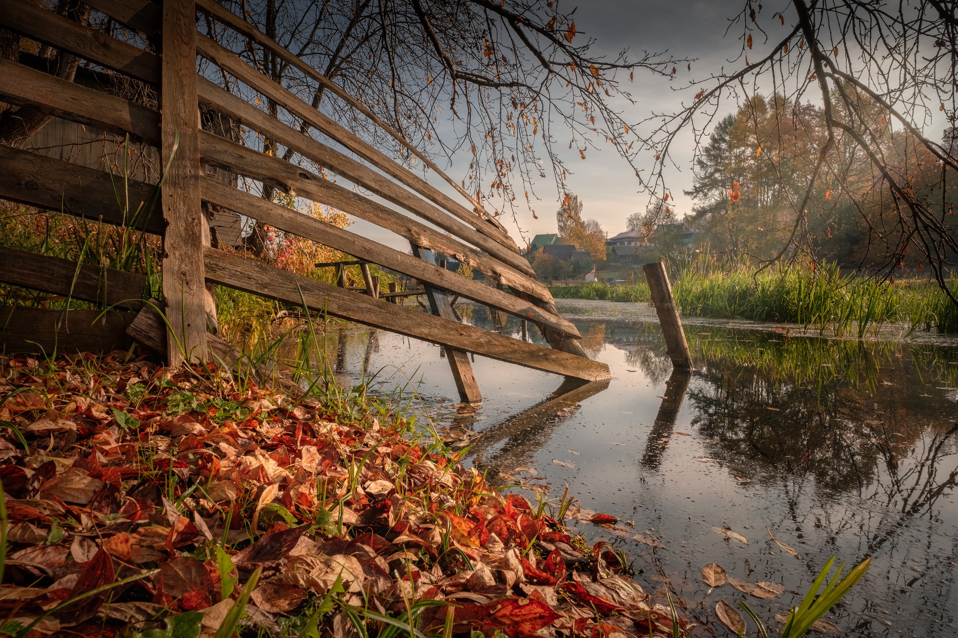 Fall Picture by Andrey Chizh