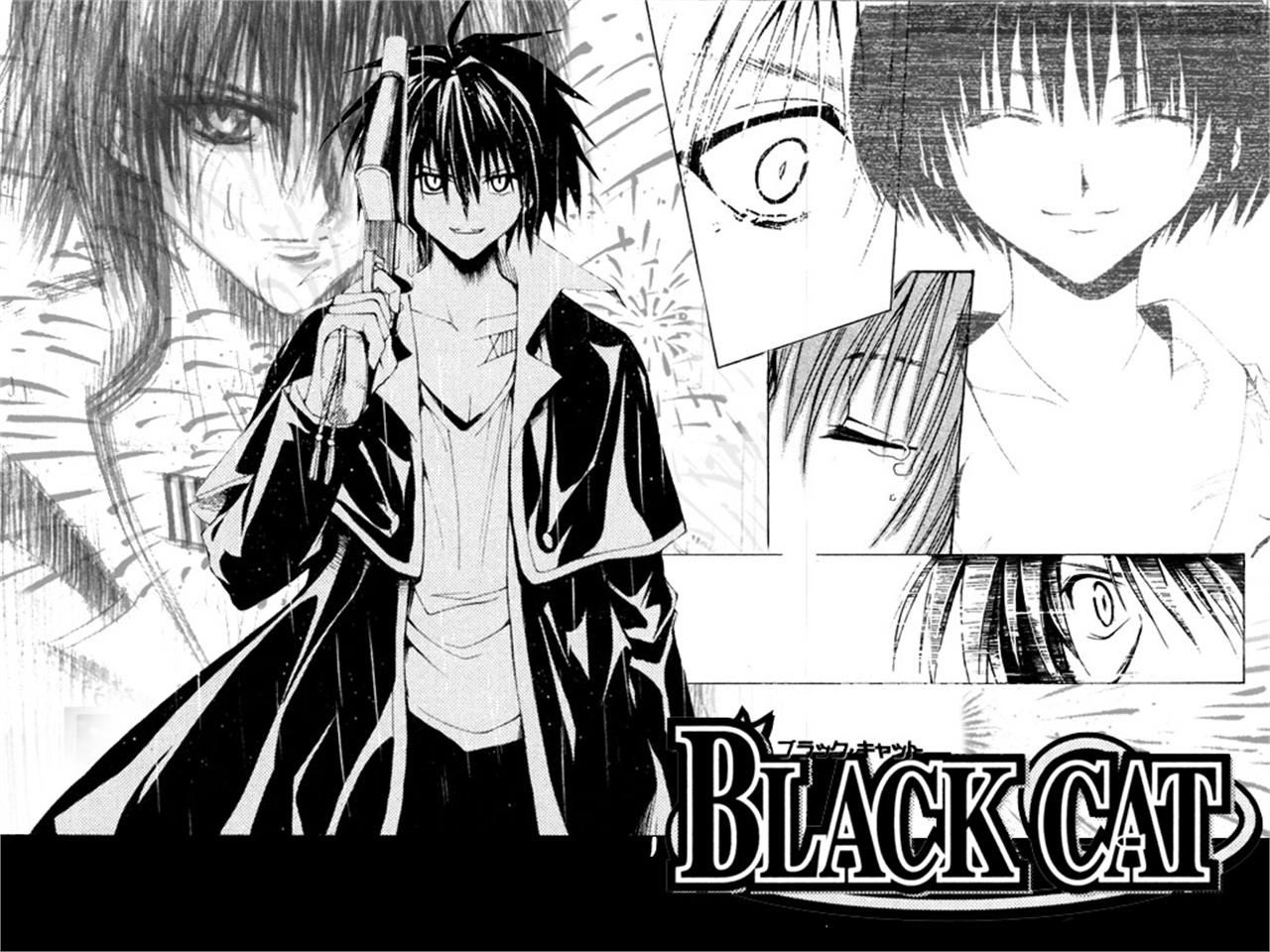 Anime Black Cat Picture Image Abyss