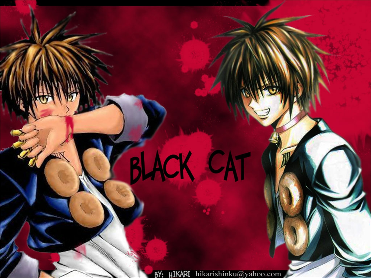 Anime Black Cat Picture Image Abyss