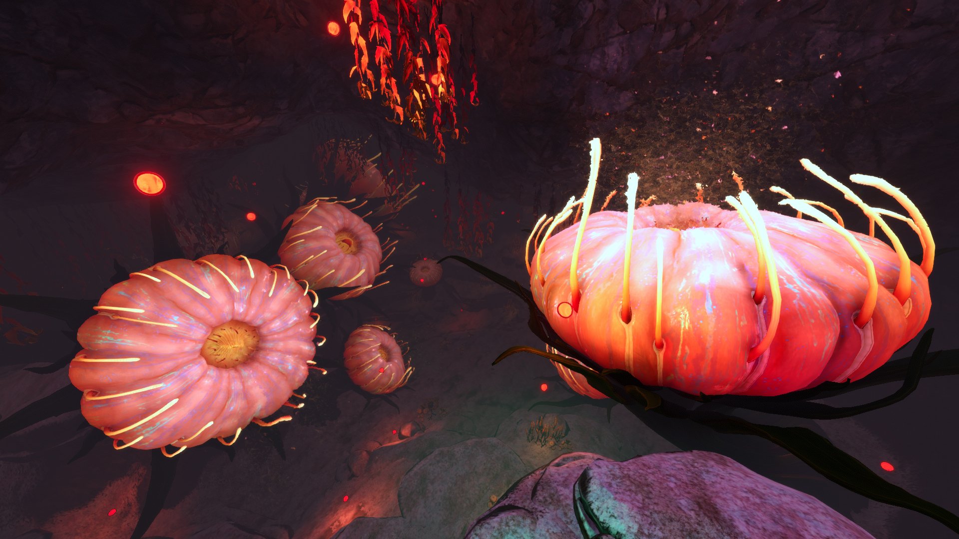  Deep Lilypads Cave 2