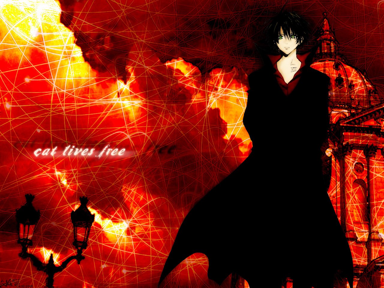 Anime Black Cat (Anime) Image