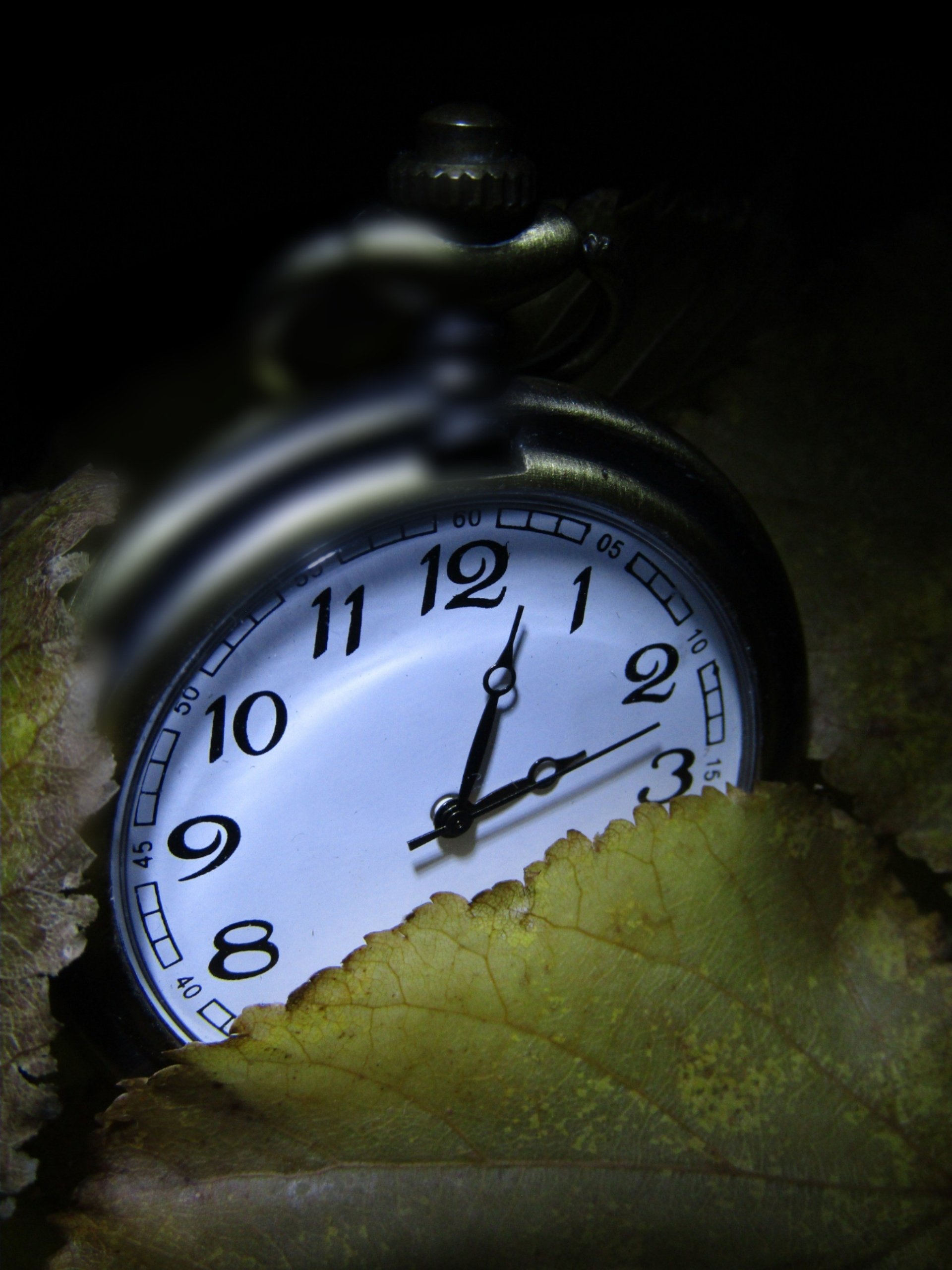 pocket watch Image