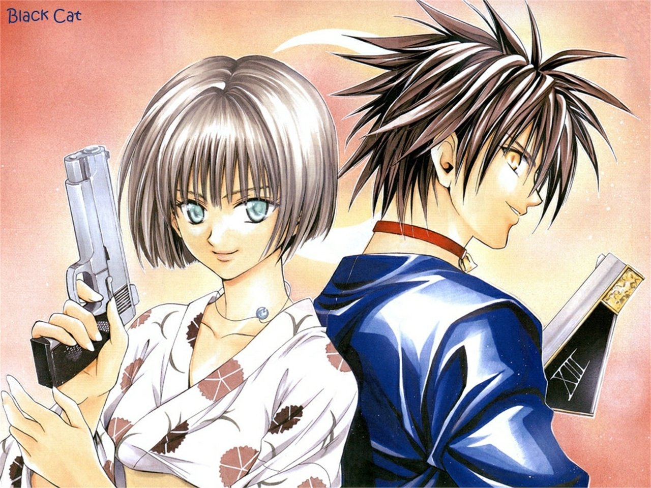 Anime Black Cat (Anime) Image