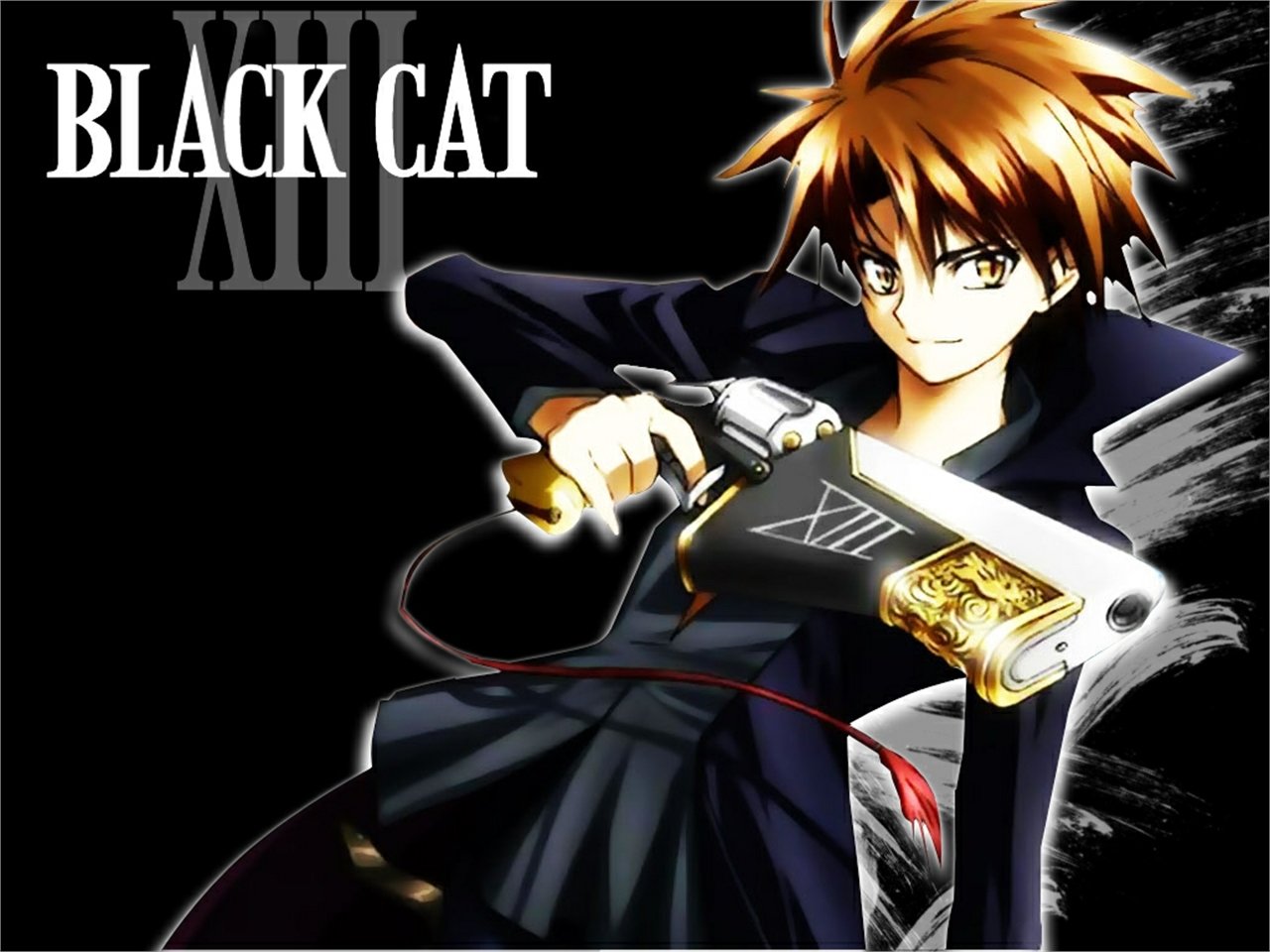 Anime Black Cat (Anime) Image
