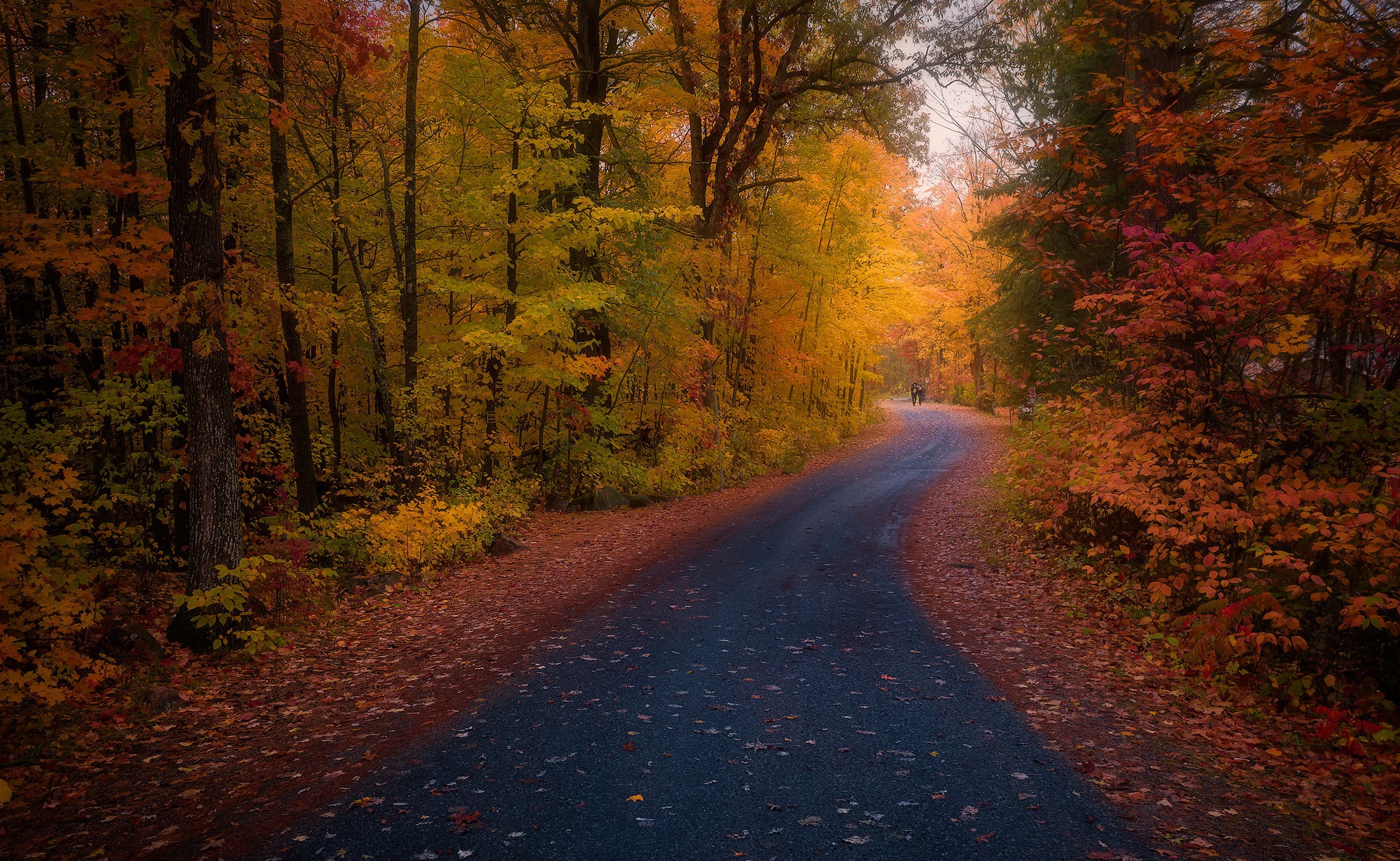 Road Picture - Image Abyss