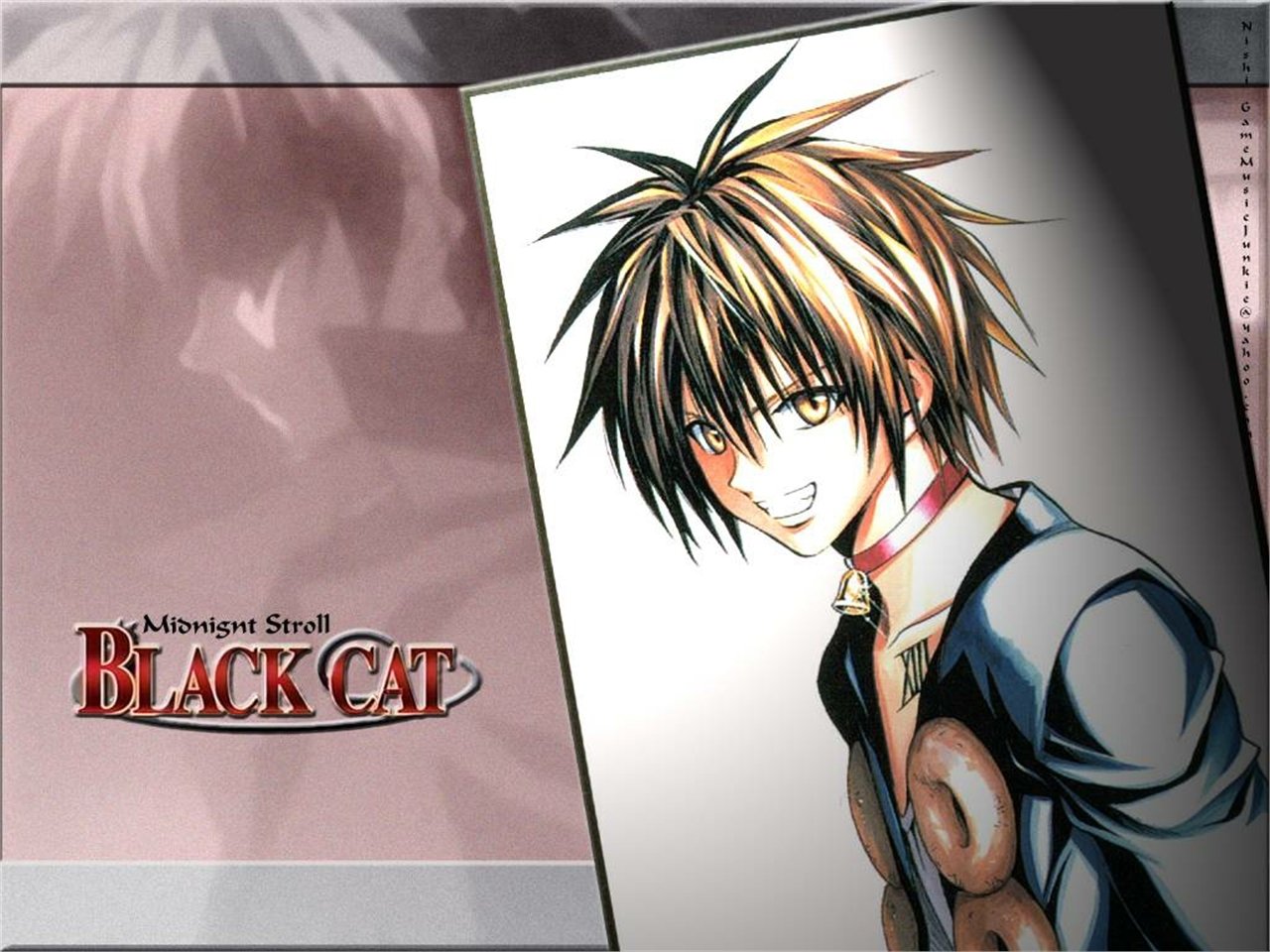 Anime Black Cat (Anime) Image