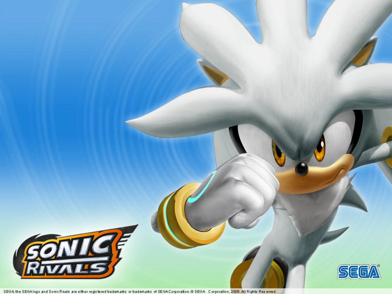 Silver the Hedgehog video game Sonic Rivals Image