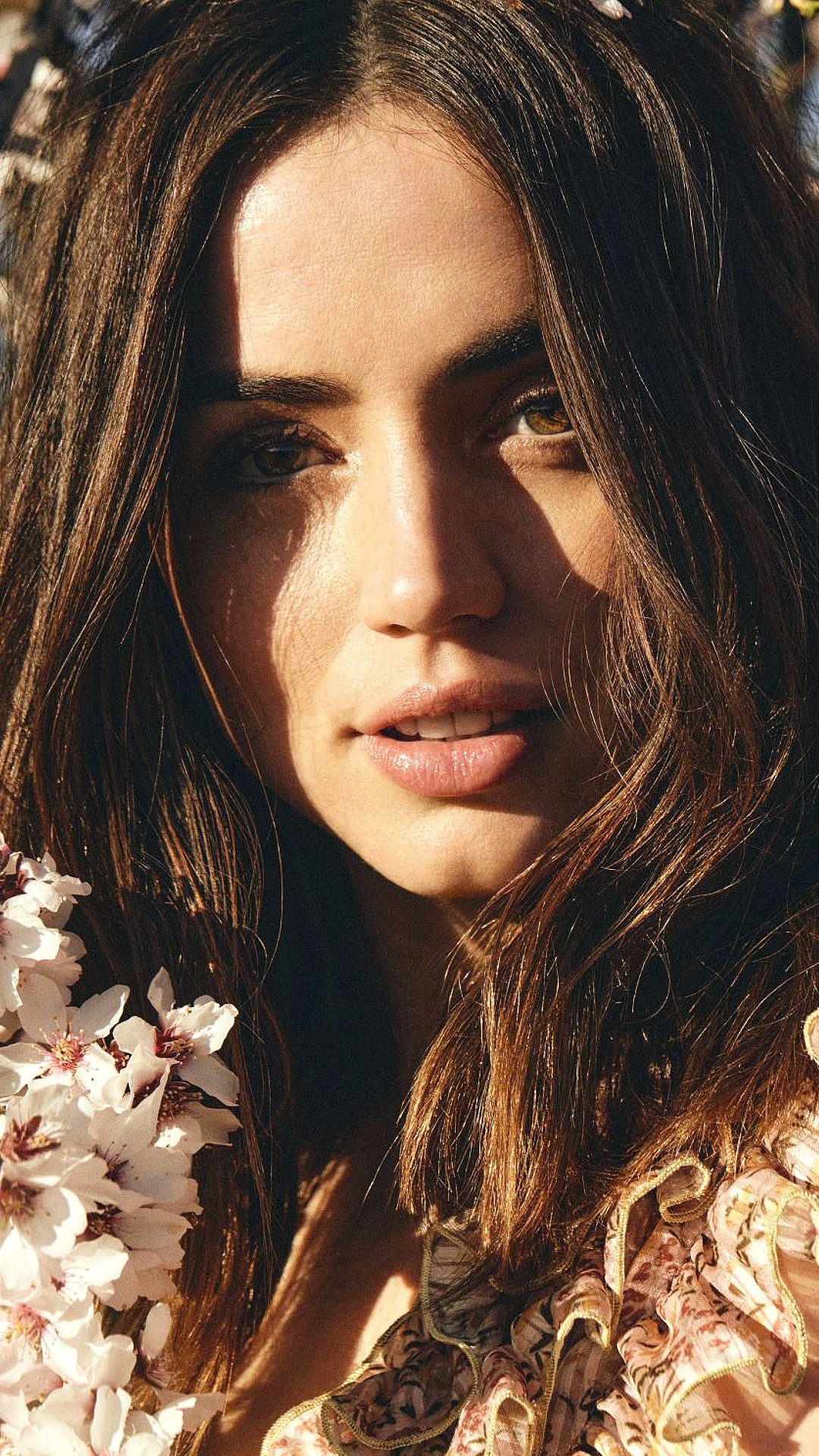 Celebrity Ana de Armas Image
