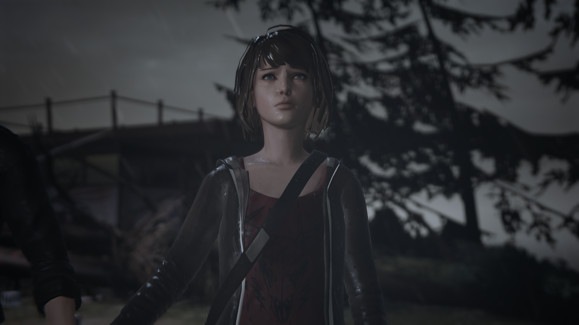  Life Is Strange (episode 5) – Final cutscene