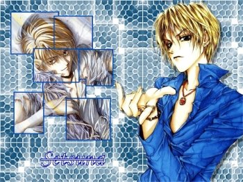 Preview Image 397889