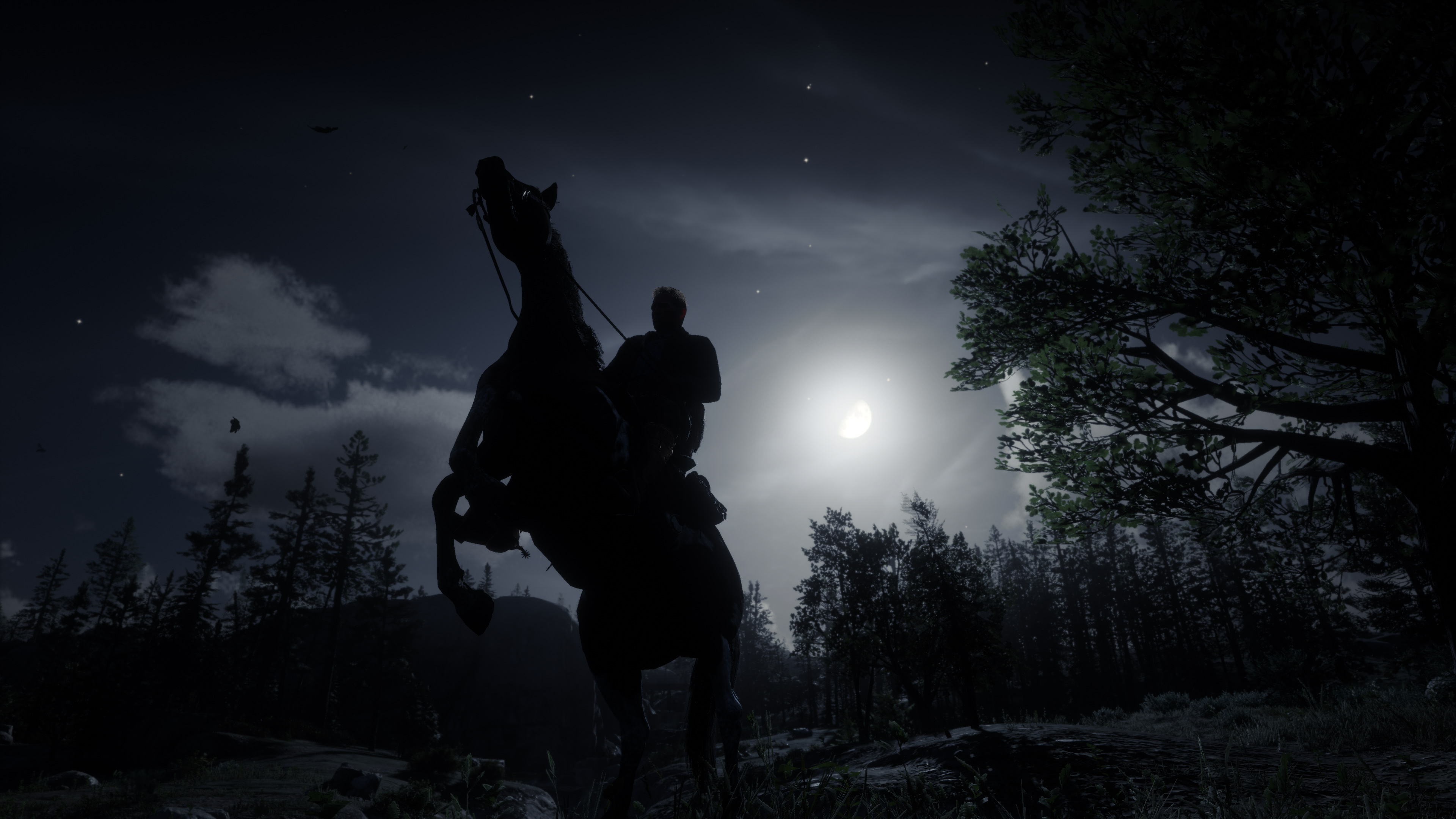 Red Dead Redemption 2 Picture by JasminZejnic - Image Abyss