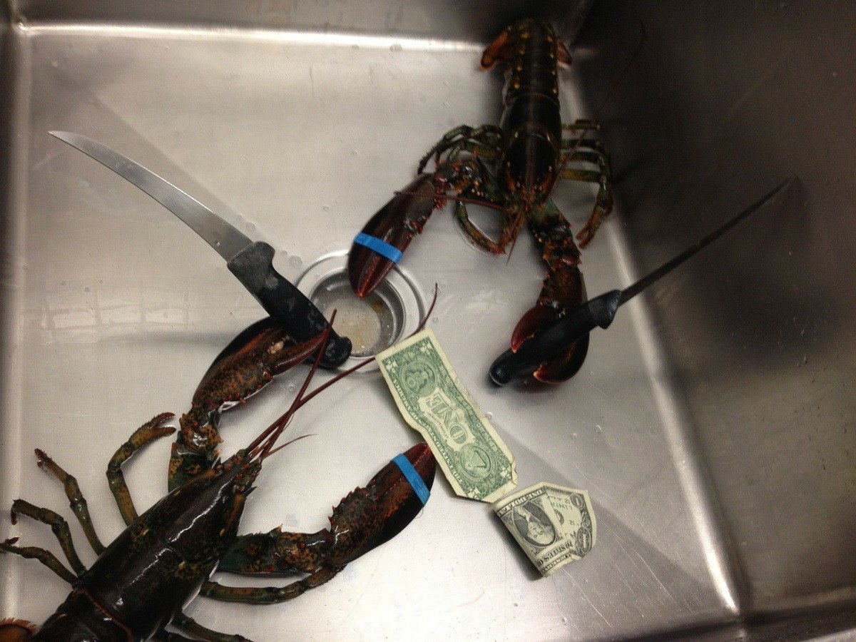  Lobster Battle!