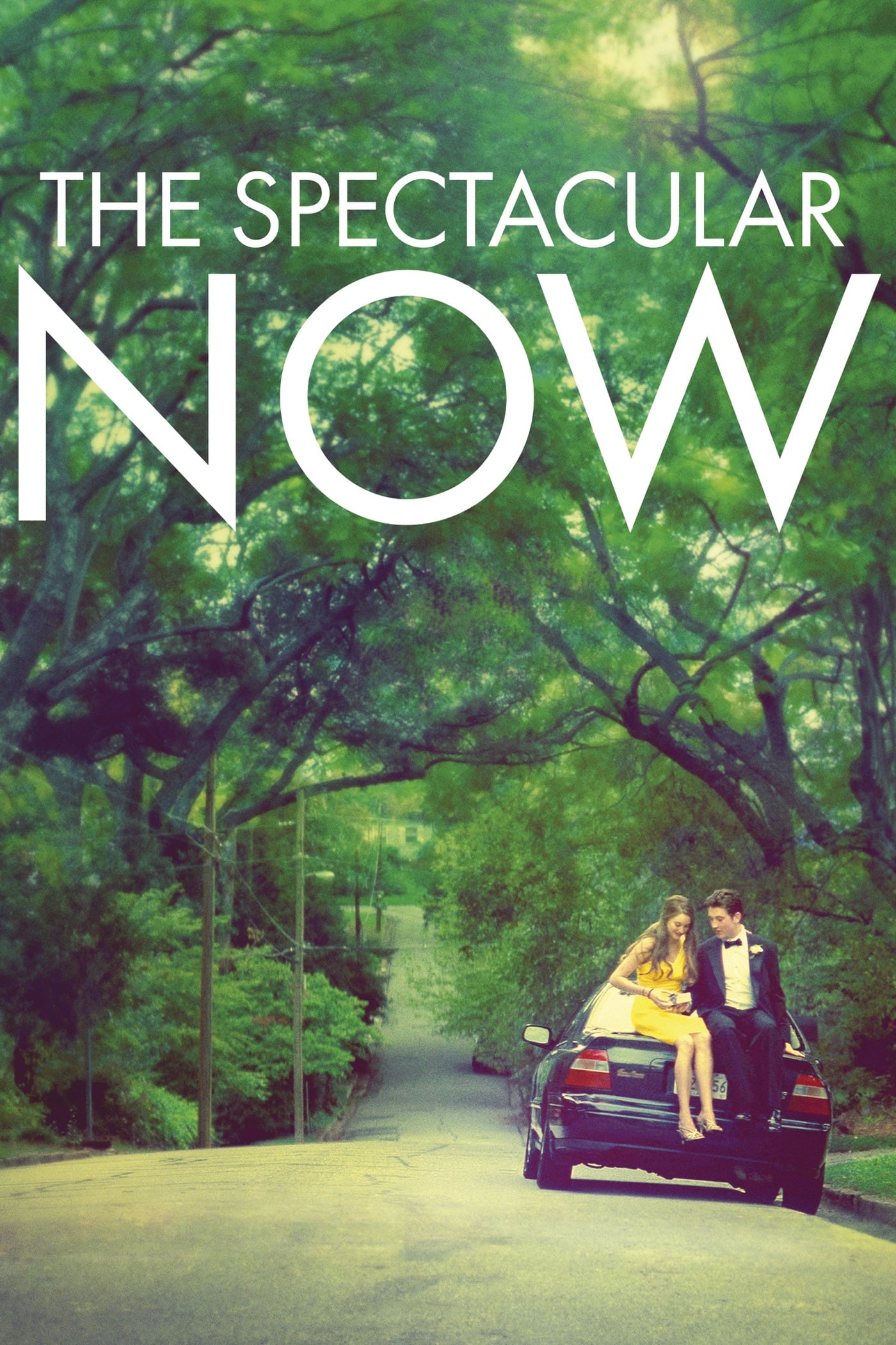 The Spectacular Now Picture
