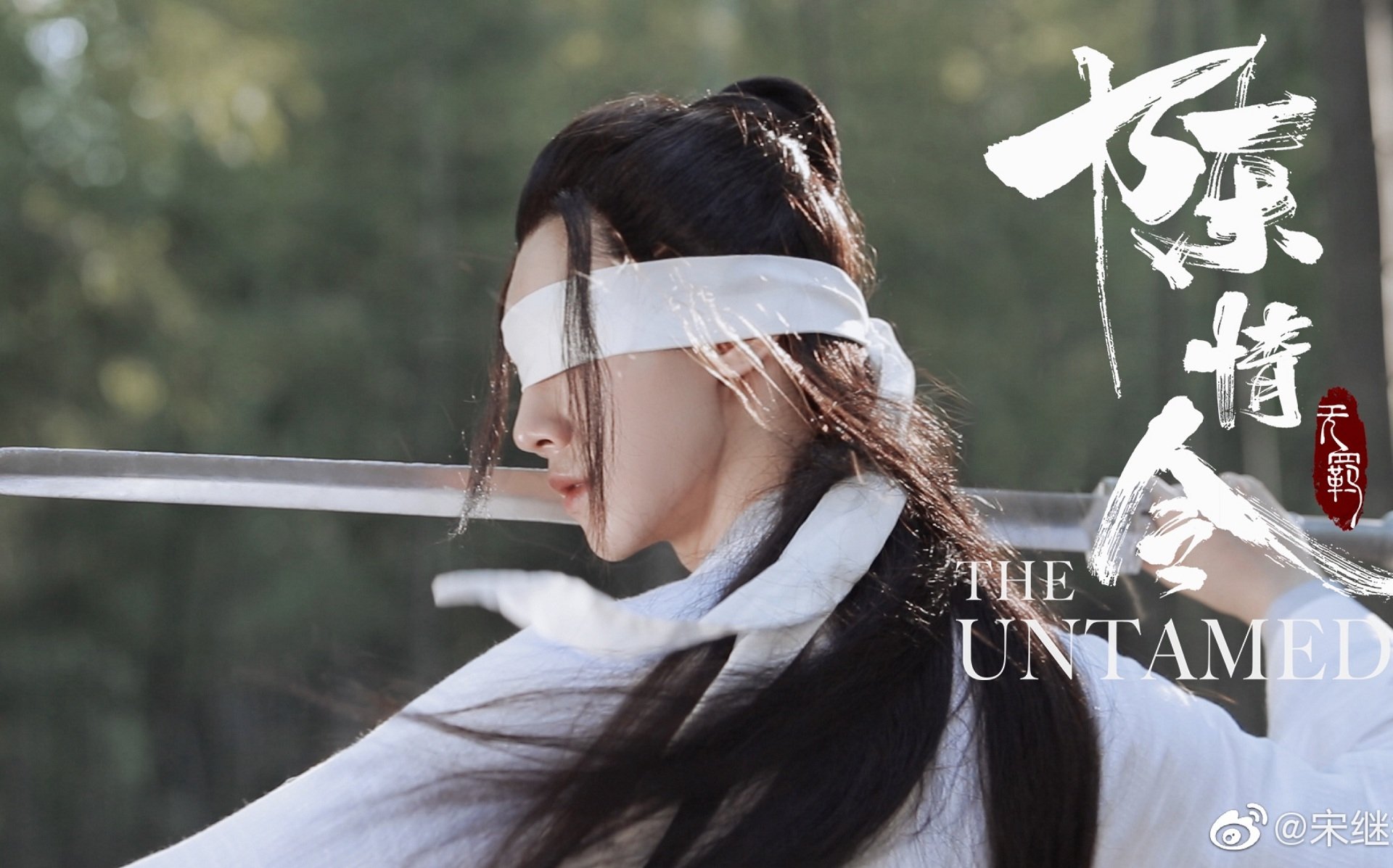 TV Show The Untamed Image