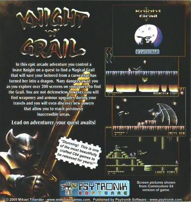 video game Knight 'n' Grail Image