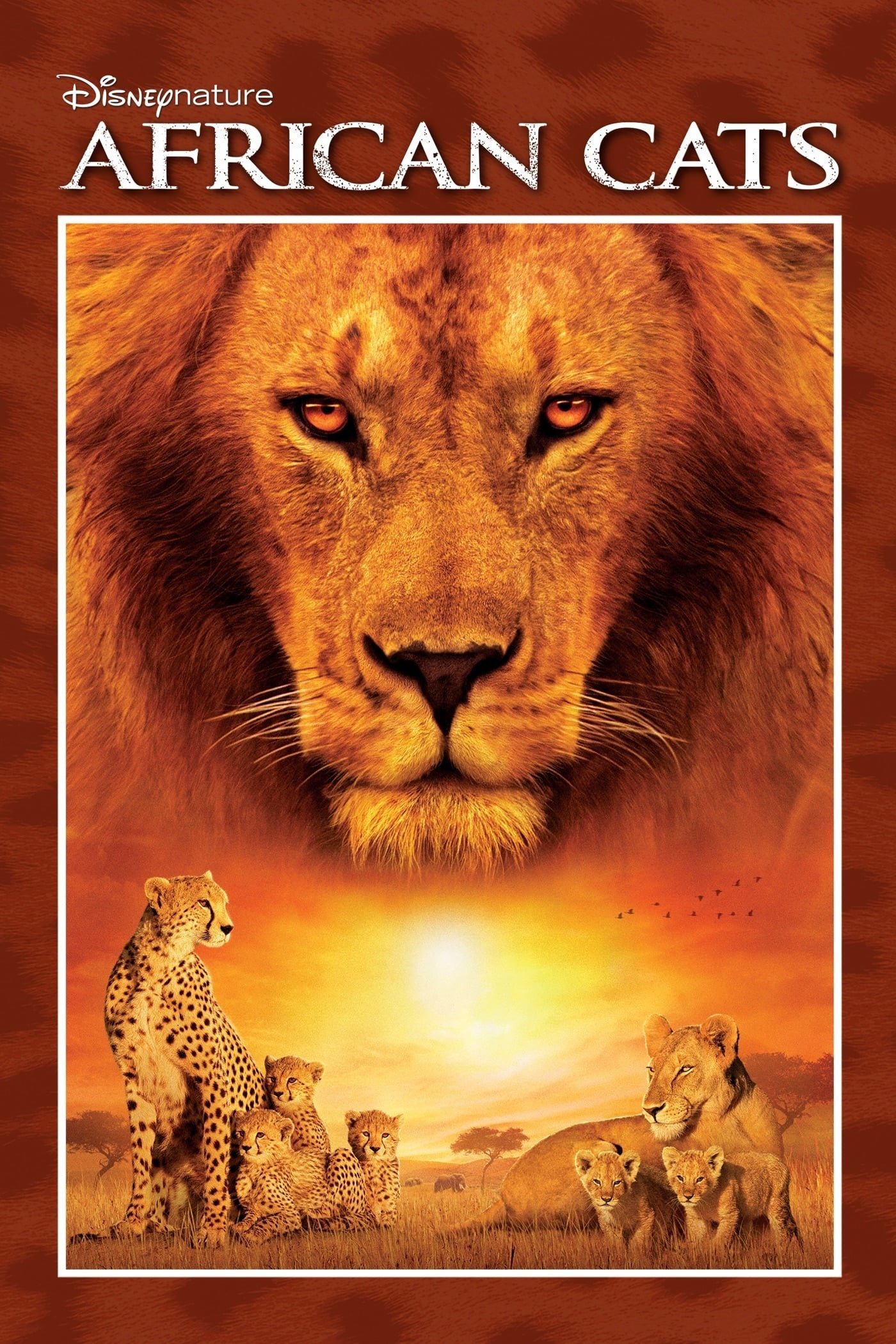 movie african cats Image