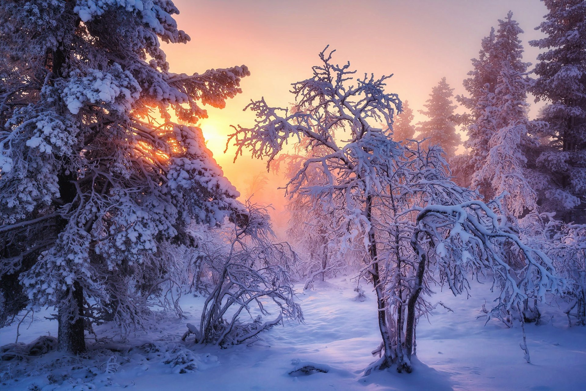 Winter Image - ID: 402335 - Image Abyss