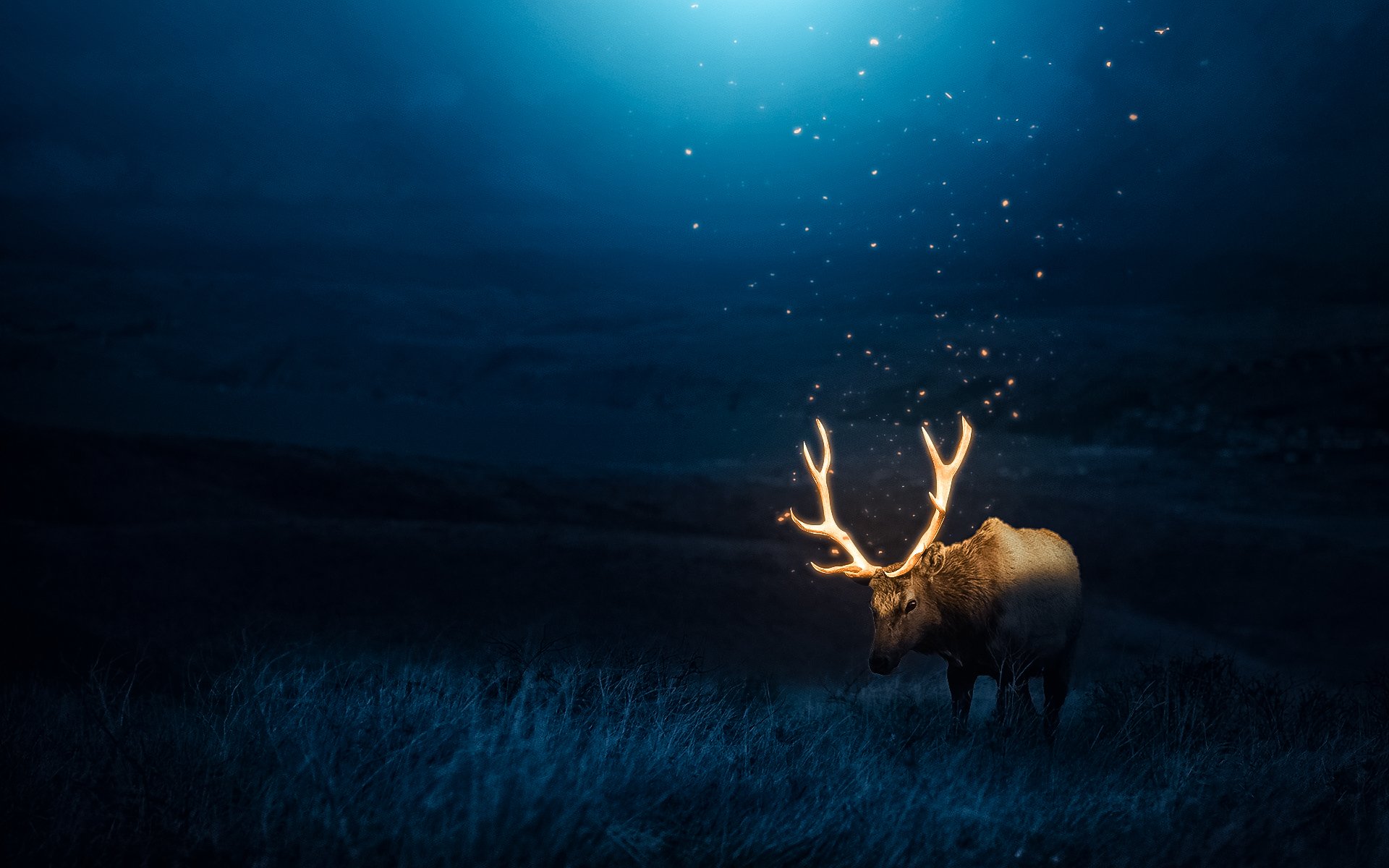 Deer Image - ID: 402595 - Image Abyss