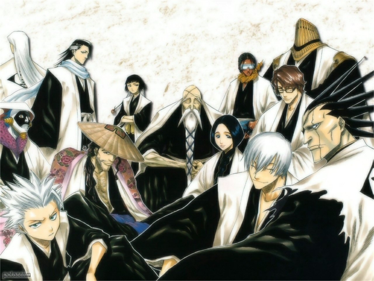 Tōshirō Hitsugaya Sajin Komamura Kenpachi Zaraki Sōsuke Aizen Gin Ichimaru Unohana Retsu Kaname Tosen Genryūsai Shigekuni Yamamoto Soifon (Bleach) Shunsui Kyōraku Byakuya Kuchiki Jūshirō Ukitake Mayuri Kurotsuchi Anime Bleach Image