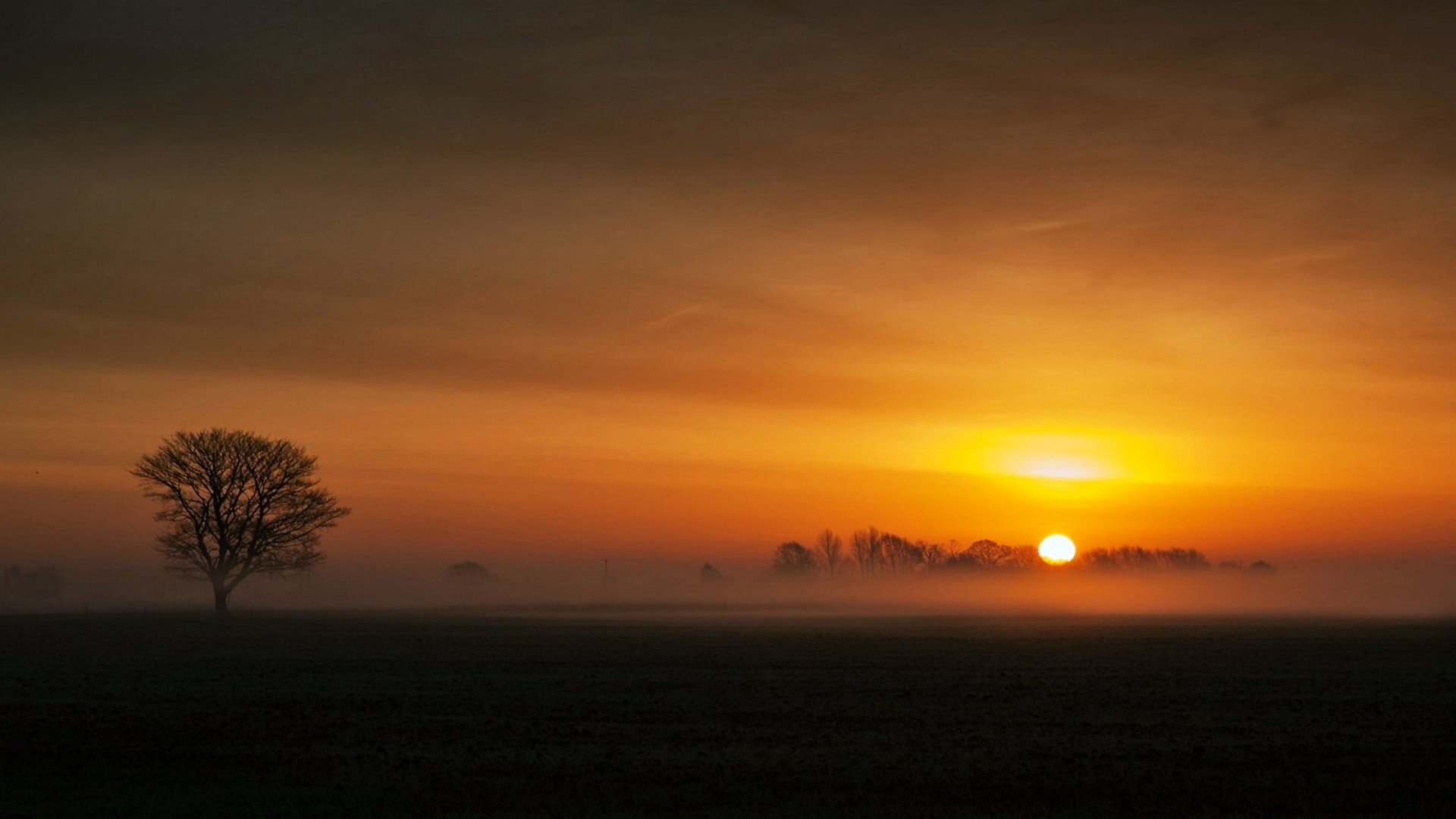 A silhouetted tree stands in a tranquil countryside landscape, bathed in the warm hues of a sunset, creating a serene atmosphere in nature.