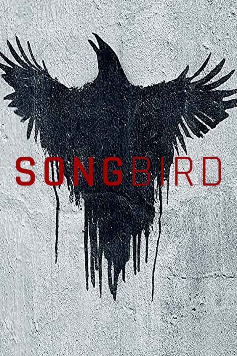 Songbird Desktop Wallpapers Phone Wallpaper PFP Gifs And More 