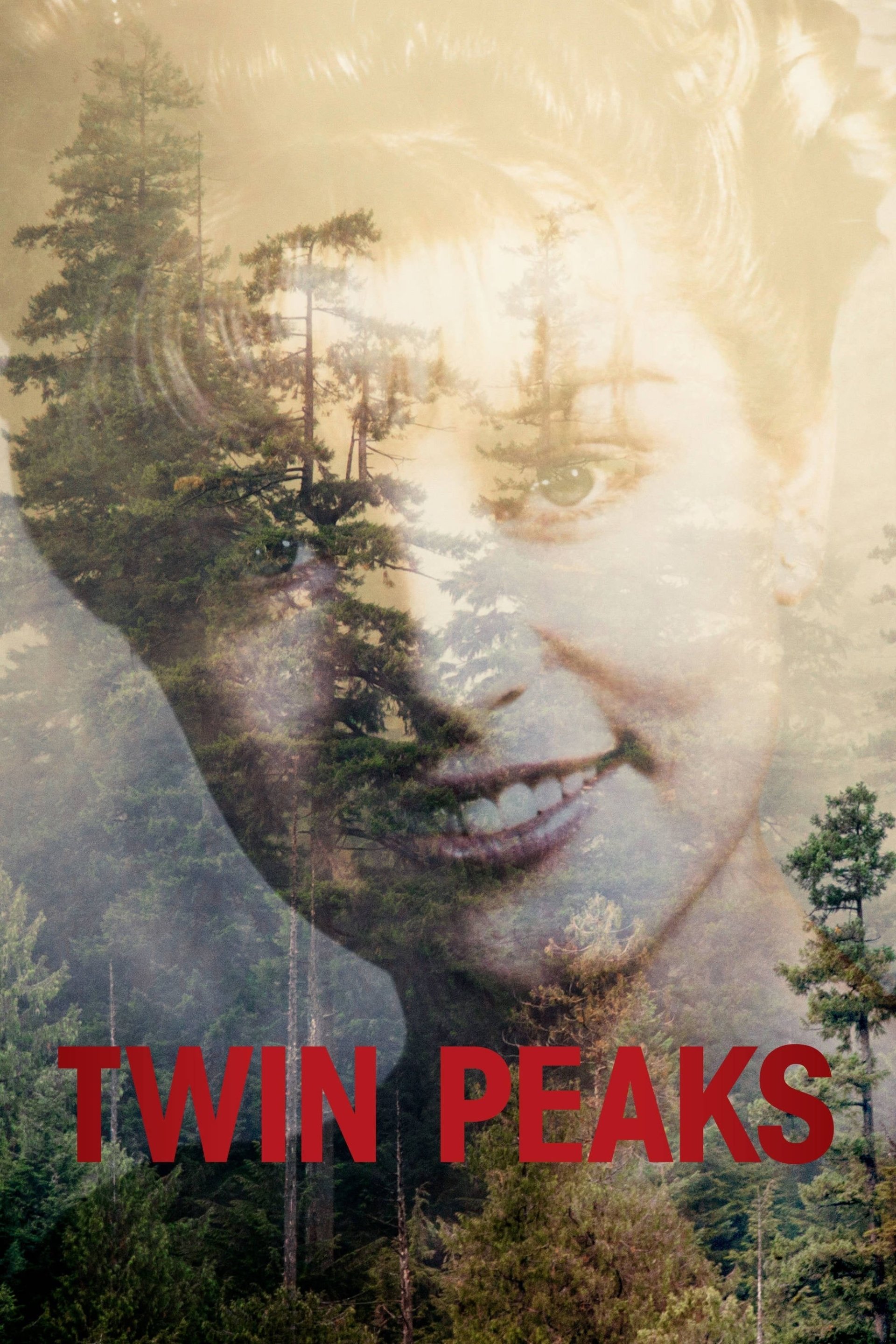 Twin Peaks TV Show Poster - ID: 406005 - Image Abyss