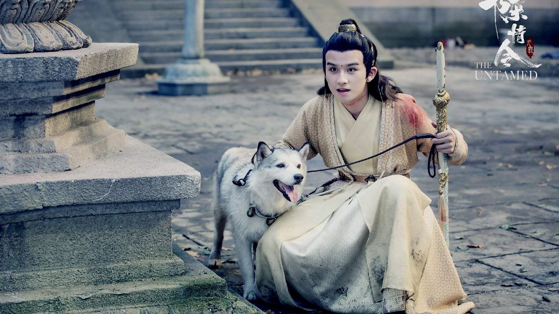 TV Show The Untamed Image