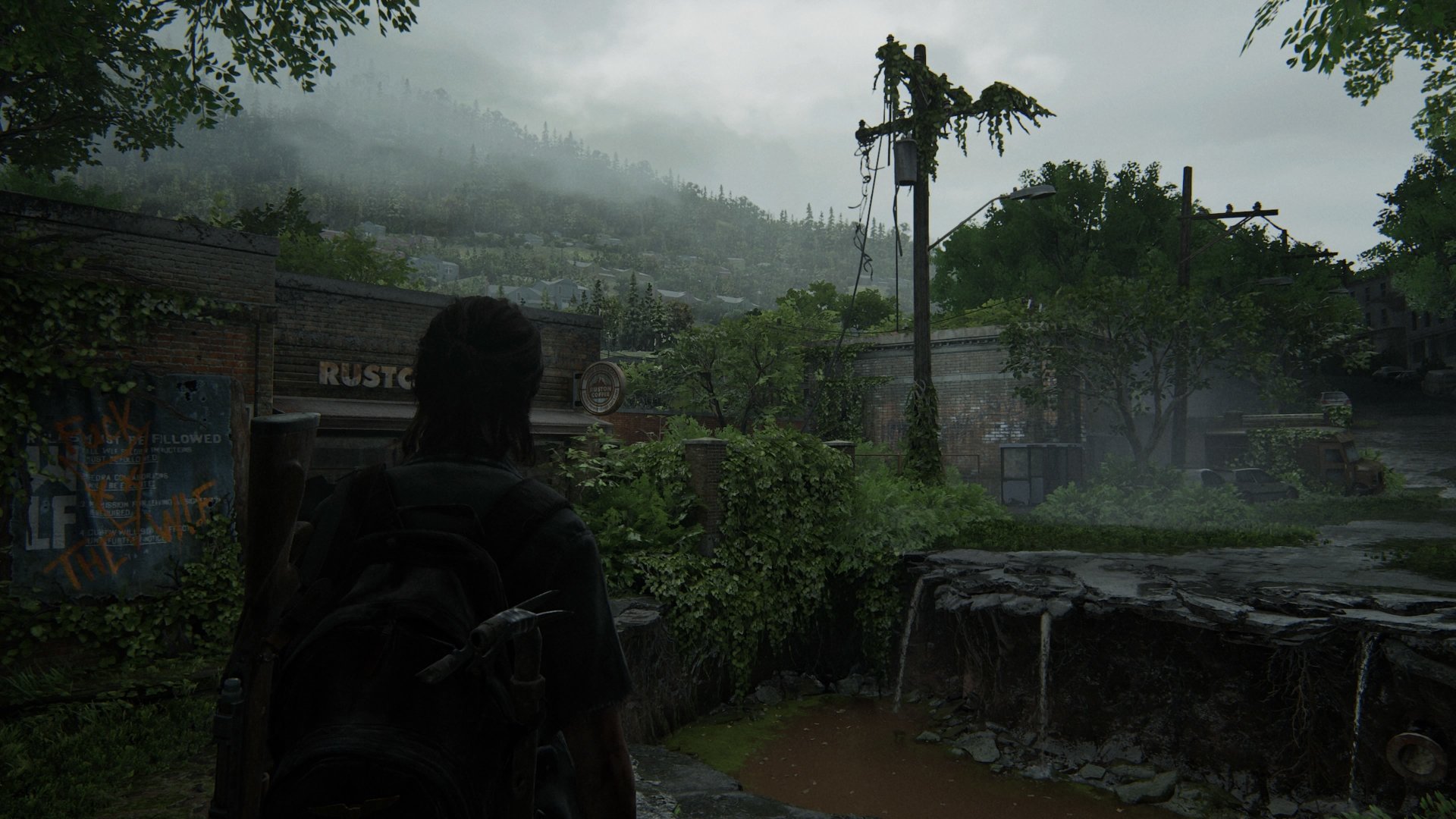 Ellie (The Last of Us) video game The Last of Us Part II Image