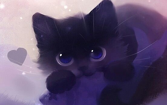 cute Animal cat cute cat Image