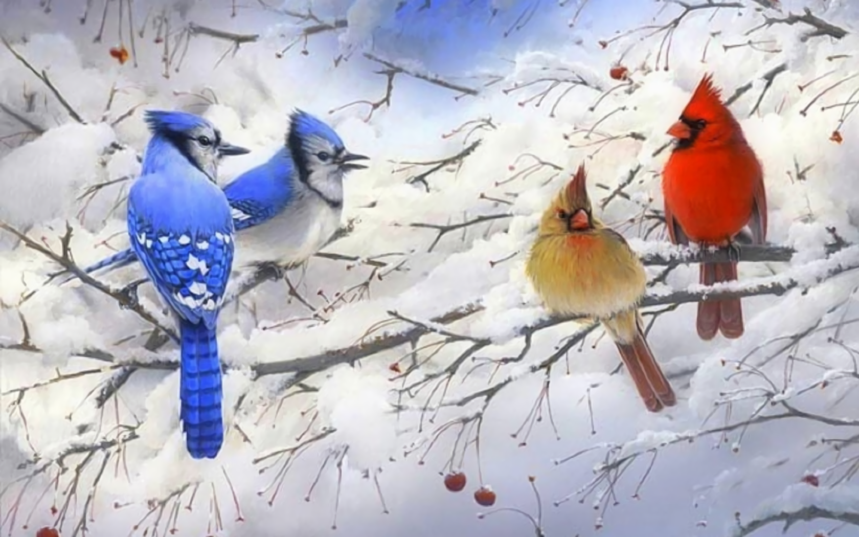 Blue Jays and Cardinals in Winter Tree - Image Abyss