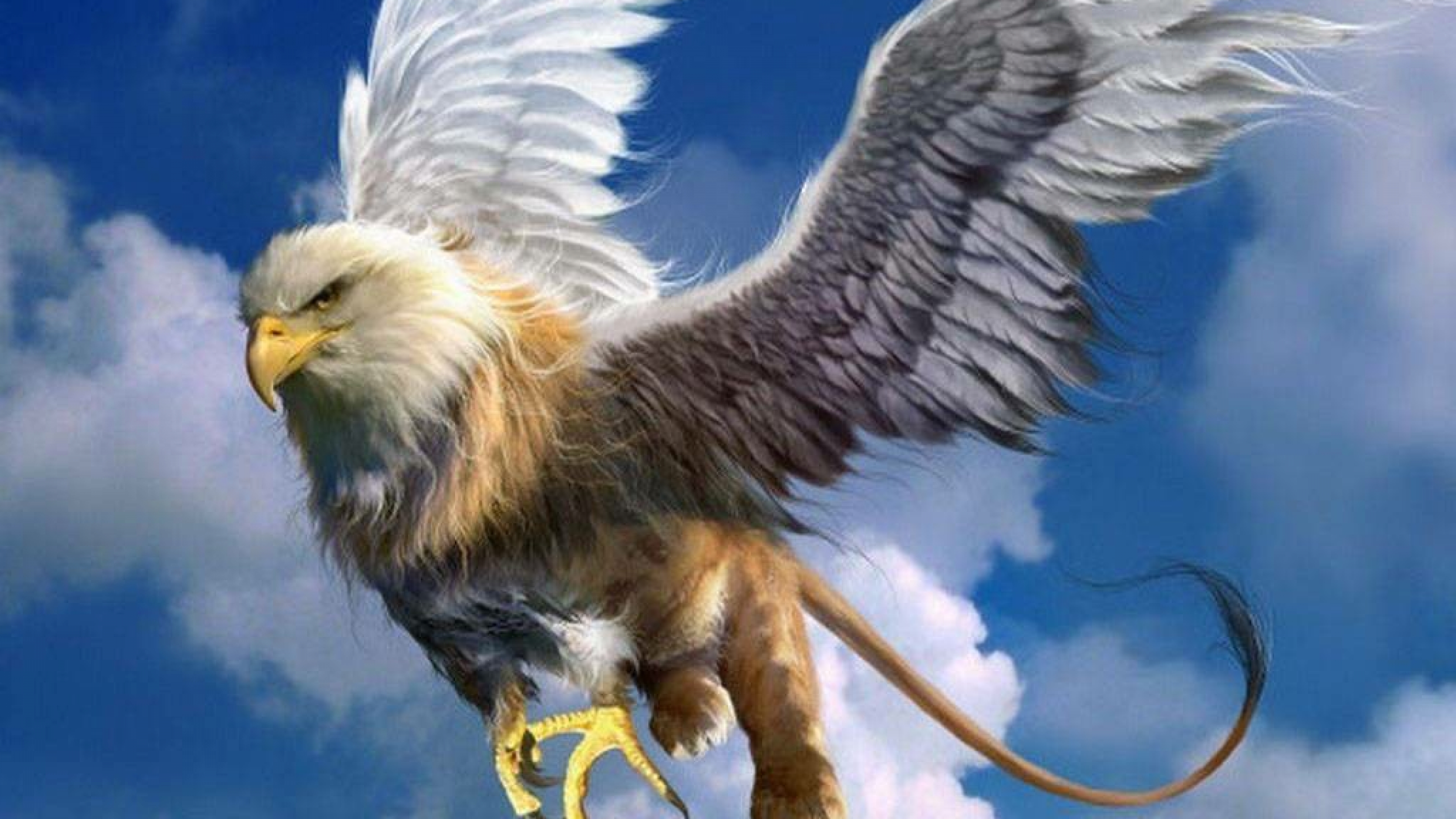 Download Eagle Bird Fantasy Chimera Image