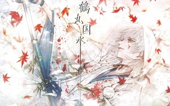 Image ID: 412373
