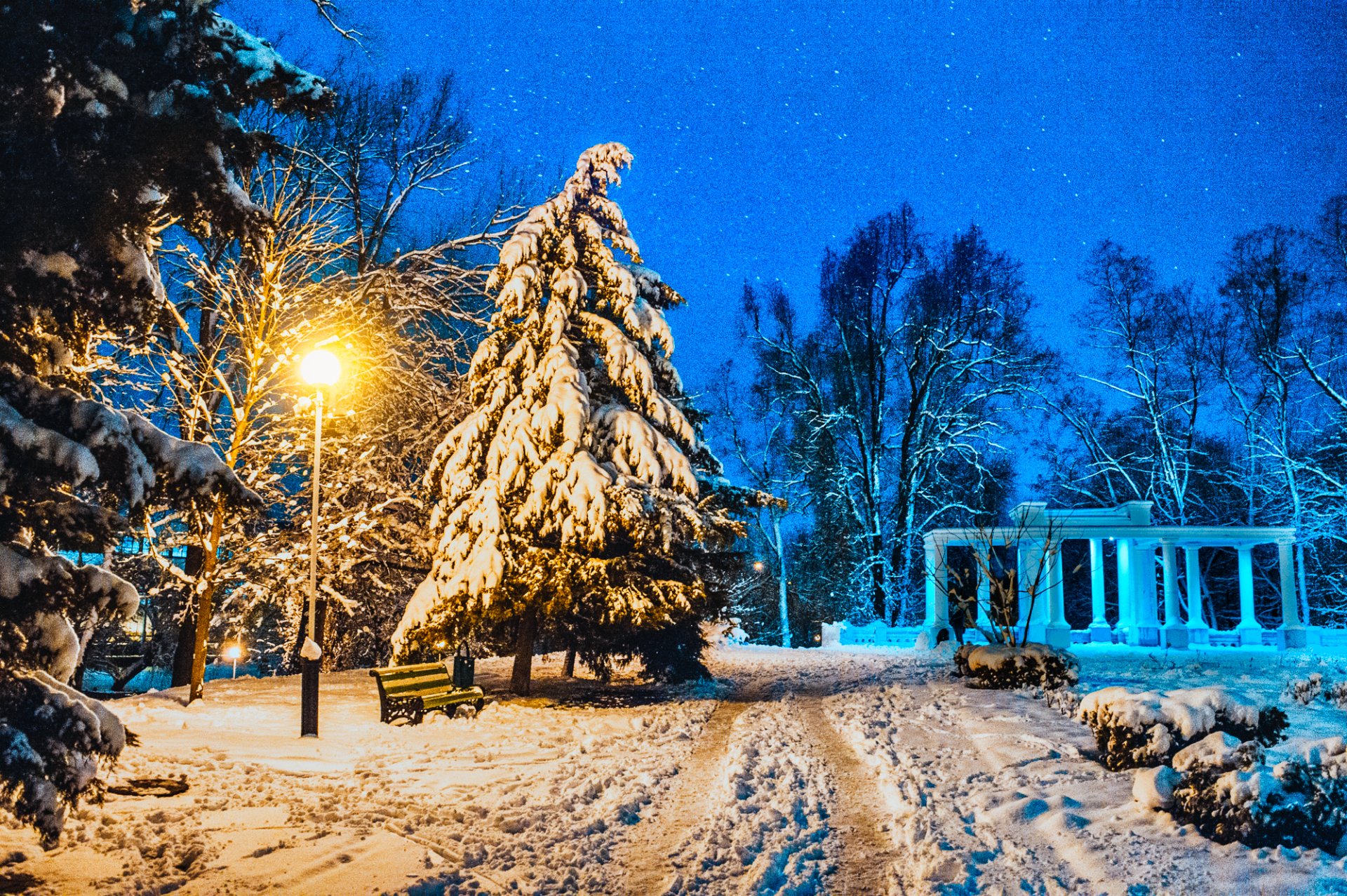 path street light bench snow photography winter Image