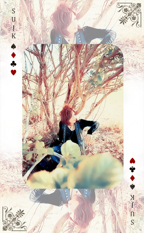  Deluhi in wonderland : sujk