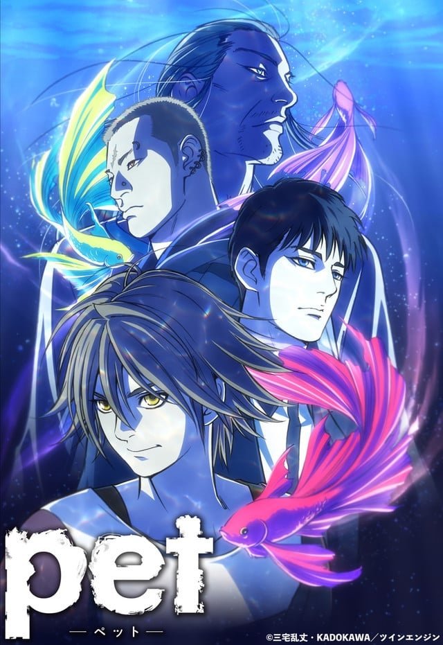 Anime pet Image