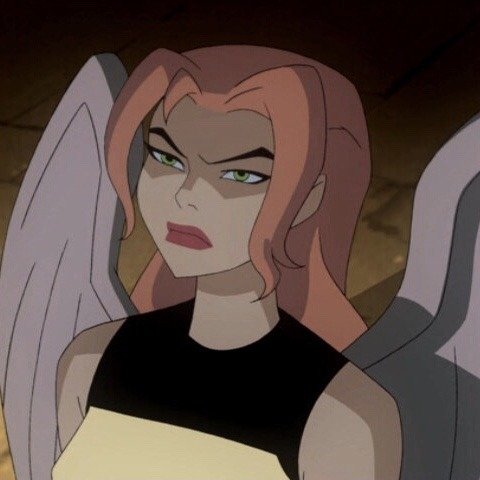 Shayera Hol Hawkgirl (DC Comics) TV Show Justice League Unlimited Image