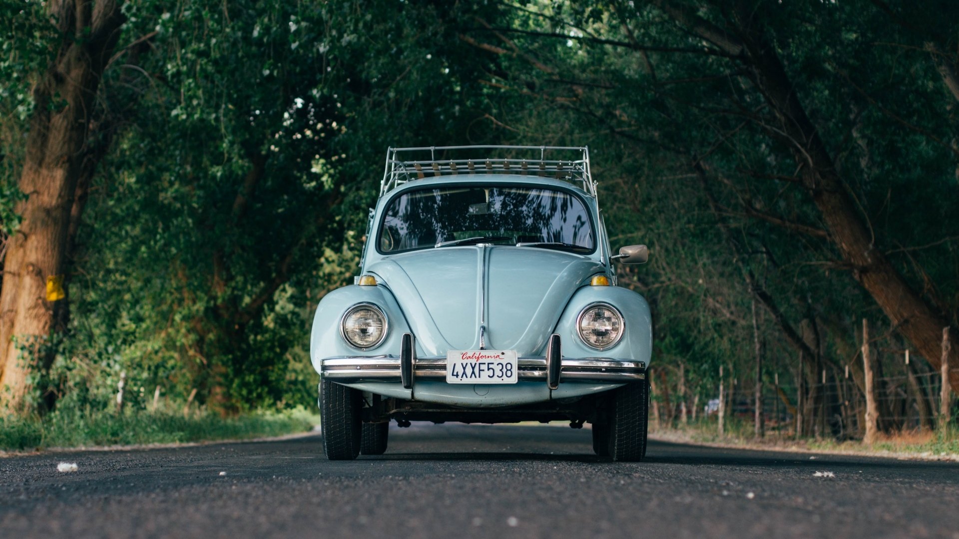 vehicle Volkswagen Beetle Image