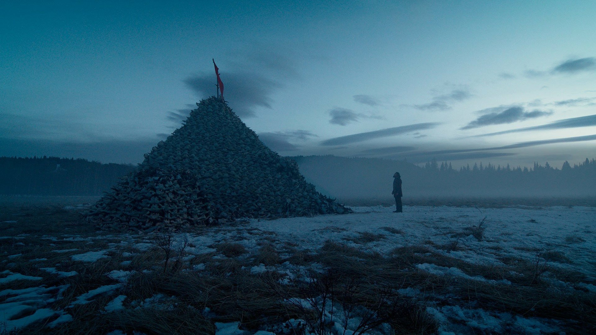 movie The Revenant Image