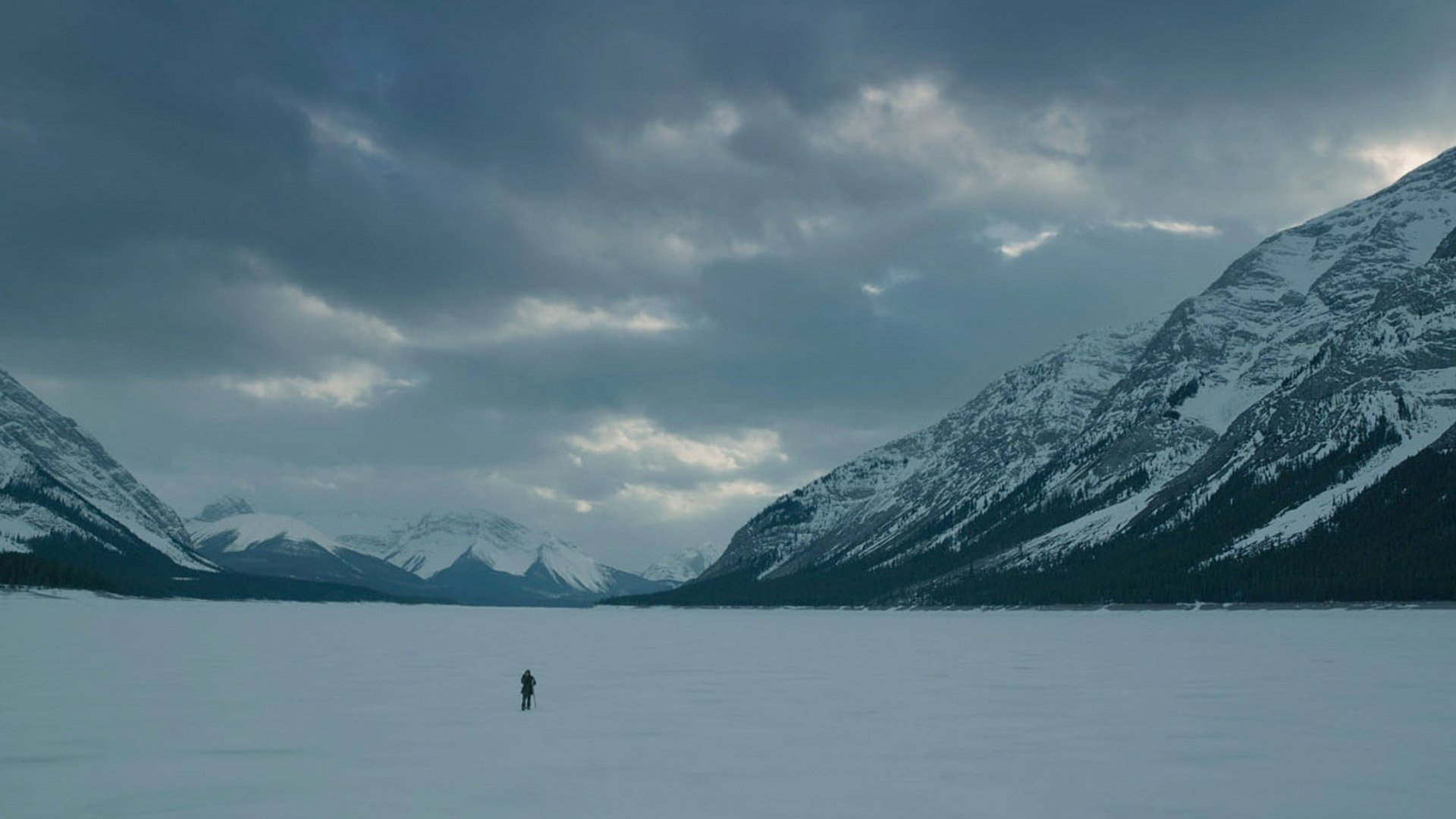 movie The Revenant Image