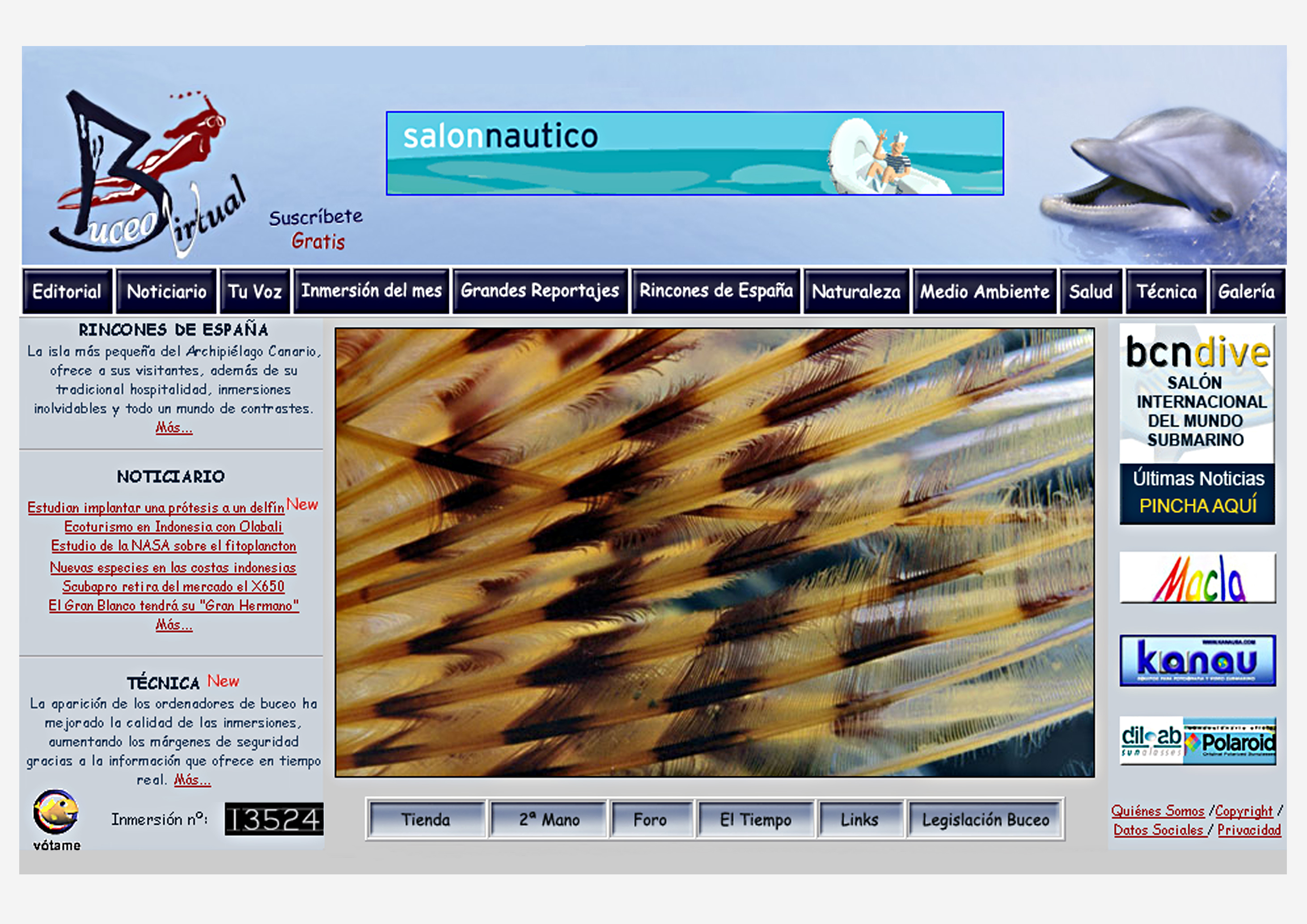 Website Picture by Buceo Virtual
